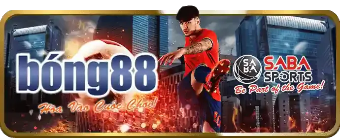 Đá Gà Thomo